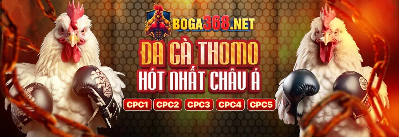Sòng bạc Trực Tuyến shbet80 App