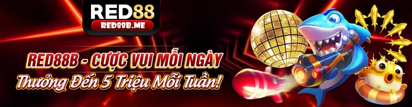 Người chơi sử dụng shbet80 app để cá cược trực tuyến